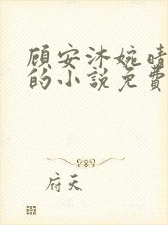 顾安沐婉晴主角的小说免费阅读
