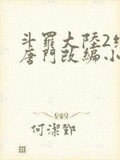 斗罗大陆2绝世唐门改编小说