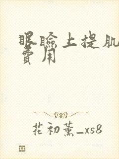 眼睑上提肌手术费用