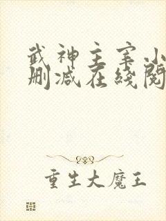 武神主宰小说无删减在线阅读