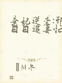 弃妃逆袭:邪王日日追妻忙 全文