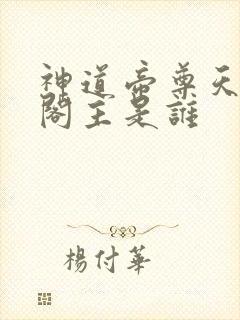 神道帝尊天帝阁阁主是谁