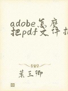 adobe怎么把pdf文件拆分成几个小文件