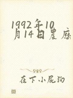 1992年10月14日农历八字