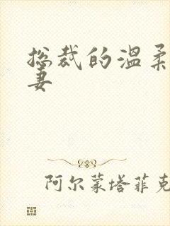 总裁的温柔乖乖妻