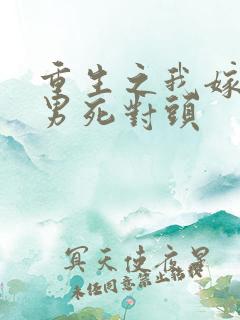 重生之我嫁给渣男死对头