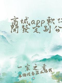 商城app软件开发定制公司