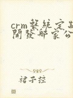 crm系统定制开发哪家公司强