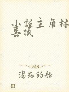 小说主角林凡陈嘉仪