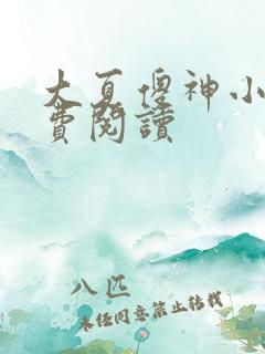 大夏傻神小说免费阅读