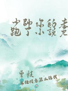 少帅你的老婆又跑了小说免费阅读