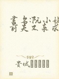 书名:阮小姐的前夫又来求婚了