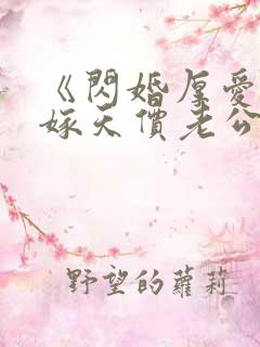 《闪婚厚爱:误嫁天价老公》
