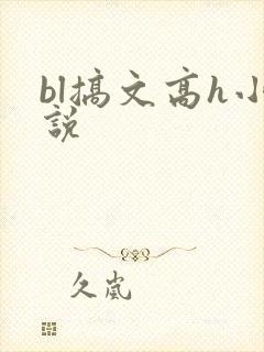 bl搞文高h小说