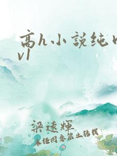 高h小说纯肉1v1
