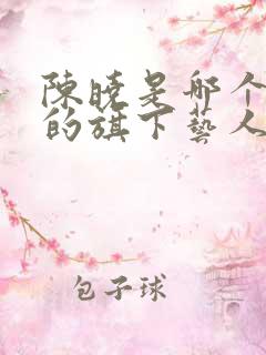 陈晓是哪个公司的旗下艺人
