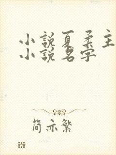 小说夏柔主角的小说名字