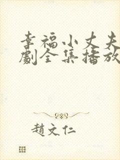 幸福小丈夫电视剧全集播放