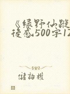 《绿野仙踪》读后感500字12篇
