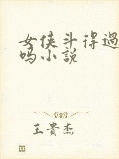 女侠斗得过淫贼吗小说