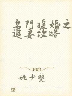 名门暖婚之权爷追妻攻略