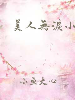 美人无泪小说