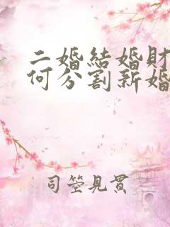 二婚结婚财产如何分割新婚姻法