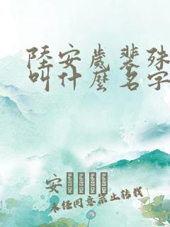陆安岁裴殊小说叫什么名字