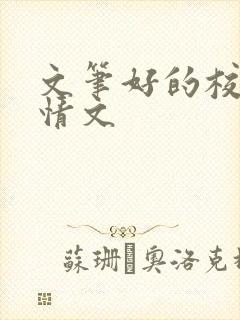 文笔好的校园言情文