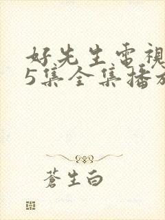 好先生电视剧45集全集播放免费观看