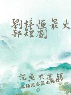 刘梓恒最火的三部短剧
