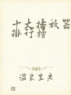 十大播放器软件排行榜
