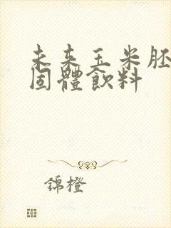 未来玉米胚芽粉固体饮料