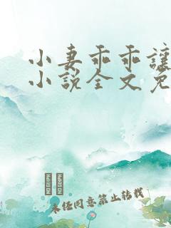 小妻乖乖让我宠小说全文免费阅读