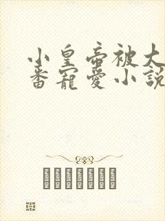 小皇帝被大臣轮番宠爱小说