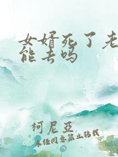 女婿死了老丈人能去吗