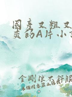 国产又粗又黄又爽的A片小说