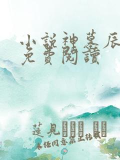 小说神墓辰东的免费阅读
