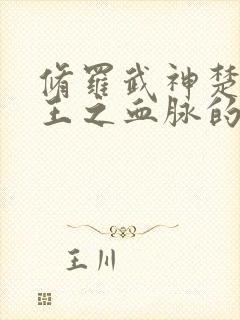 修罗武神楚枫是王之血脉的吗