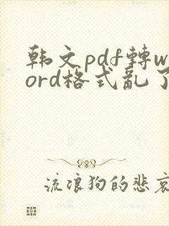 韩文pdf转word格式乱了怎么调整