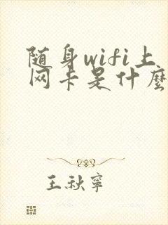 随身wifi上网卡是什么原因