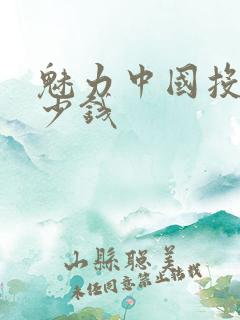 魅力中国投稿多少钱