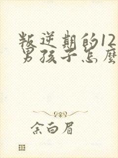 叛逆期的12岁男孩子怎么去引导