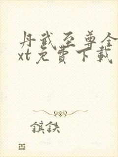 丹武至尊全本txt免费下载