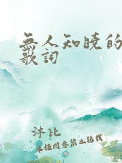 无人知晓的我 歌词