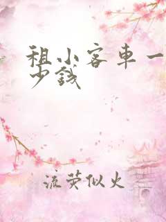 租小客车一天多少钱