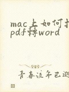 mac上如何把pdf转word