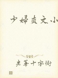 少妇爽文小说
