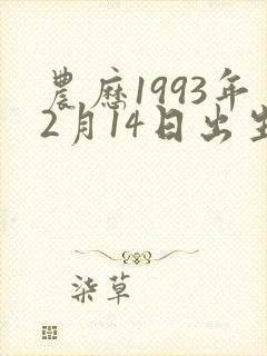 农历1993年2月14日出生命运