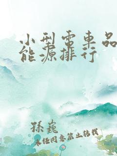 小型电车品牌新能源排行